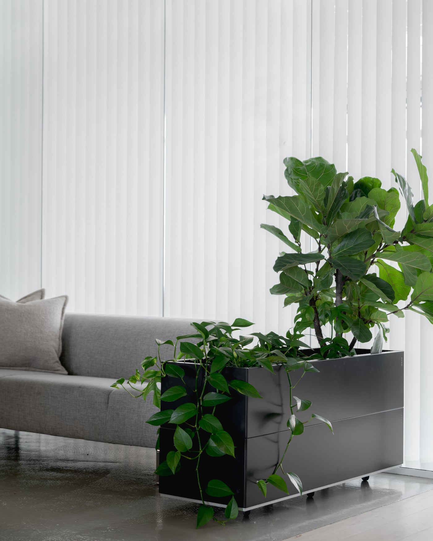 BEDD plantekasse med selvvanning på kontor
