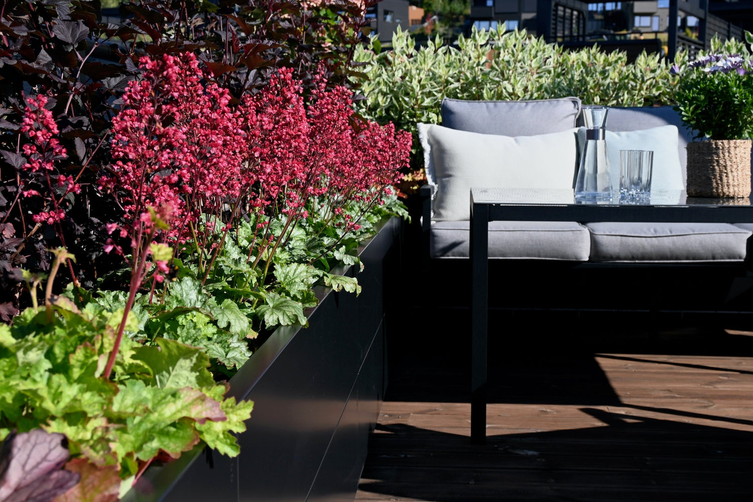 En flott takterrasse i Lier med BEDD blomsterkasser fulle av frodige blomster og hekkplanter
