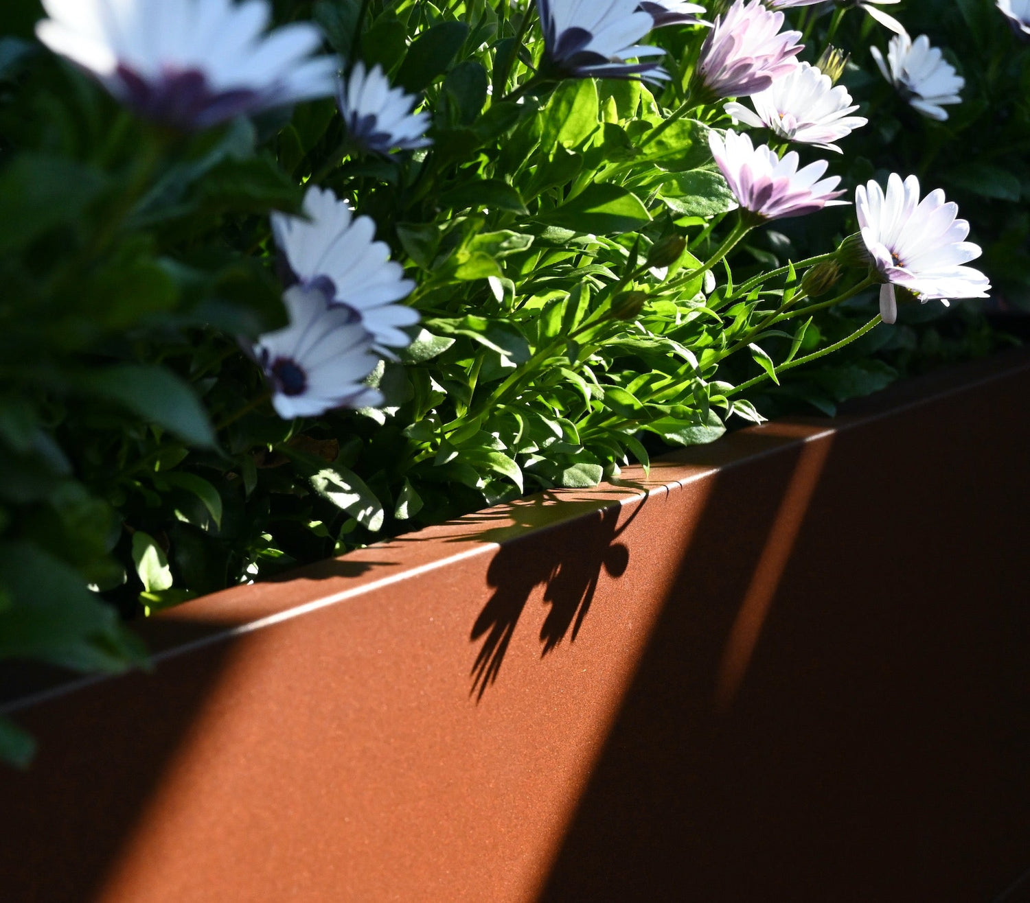 BEDD blomsterkasser i rustlakk er et godt alternativ til corten stål og ubehandlet stål. Få den vakre rust-patinaen uten rust og avrenning.