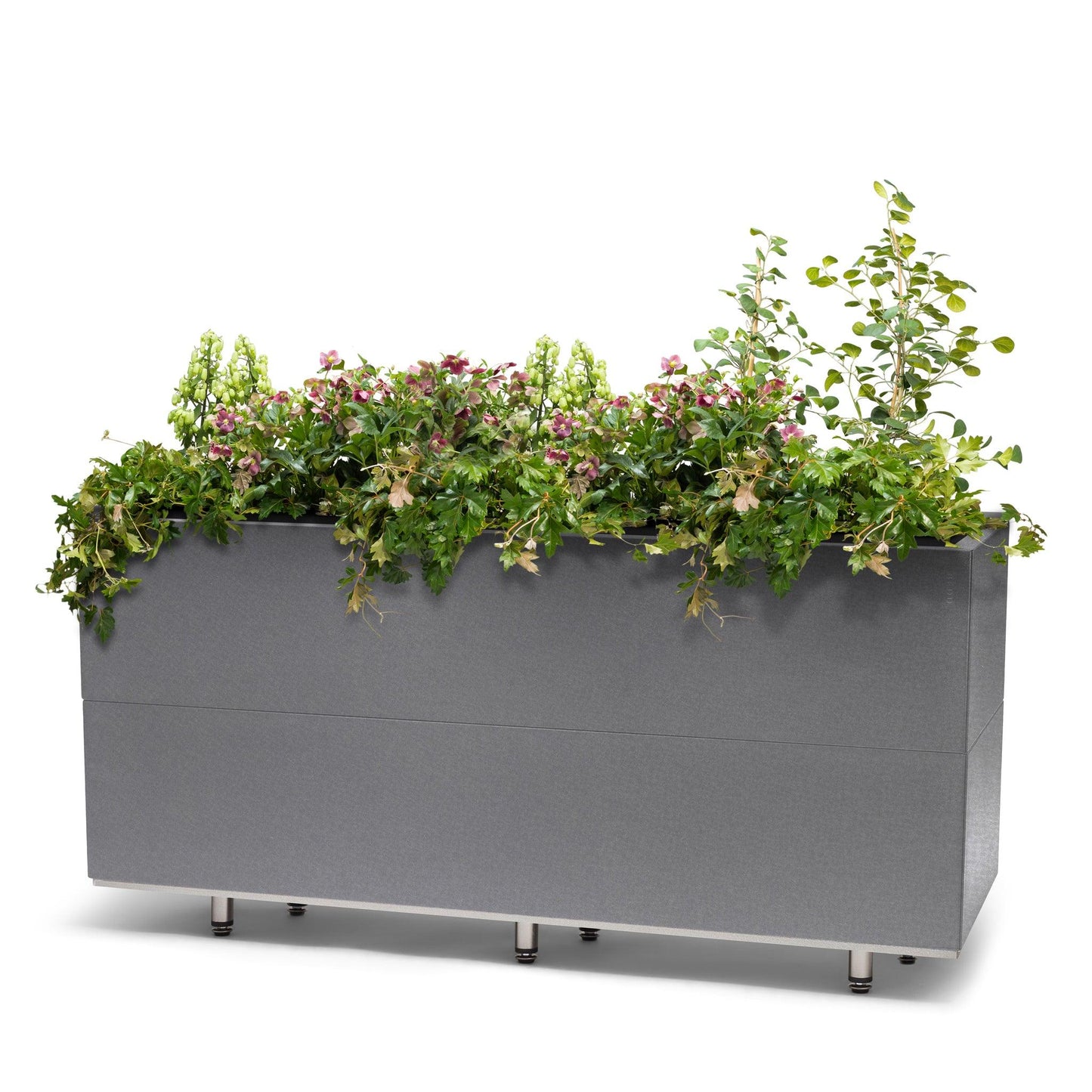BEDD_120x40h50_BENgra0