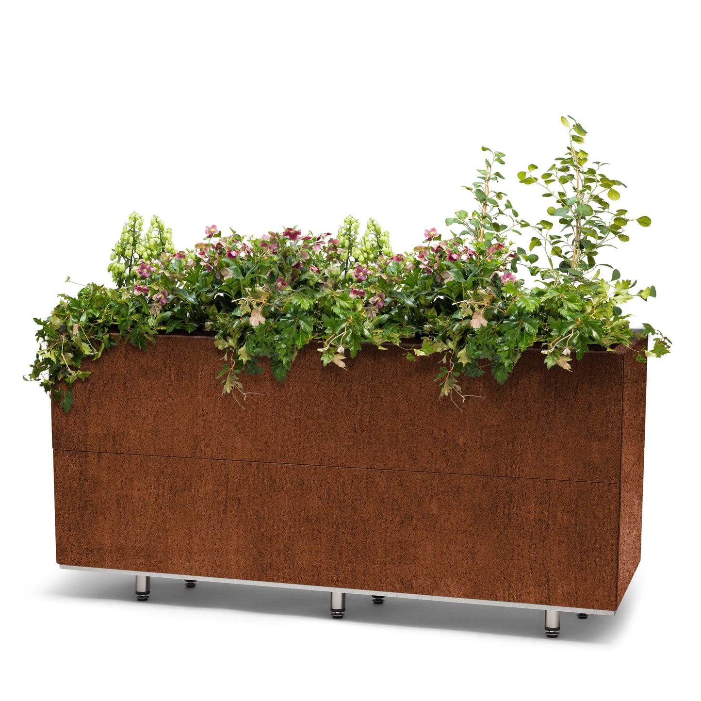 BEDD_120x40h50_BENrust0