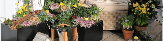 Vårens blomster med Gartner Tom - BEDD