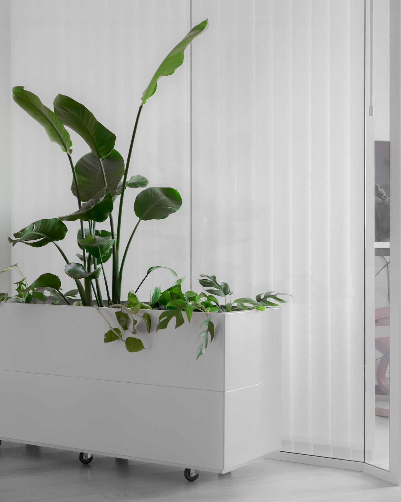 Plantekasse på kontor fra norske BEDD