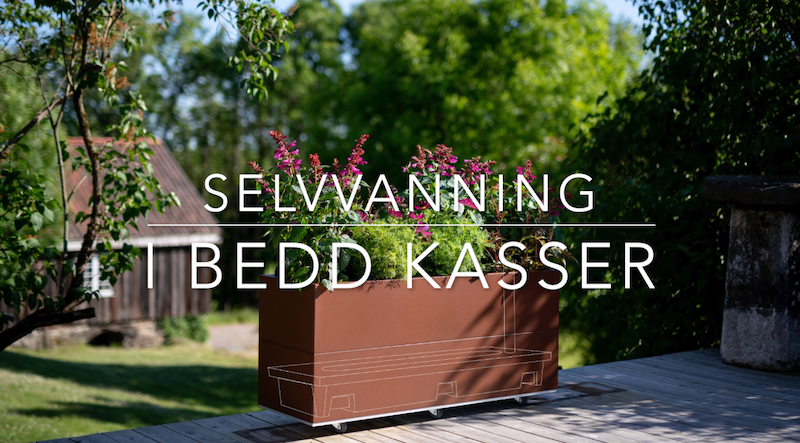 Ladda video: I denne videoen viser vi hvordan du plasserer og bruker den nye selvvanningskassen fra BEDD i blomsterkasser utendørs.